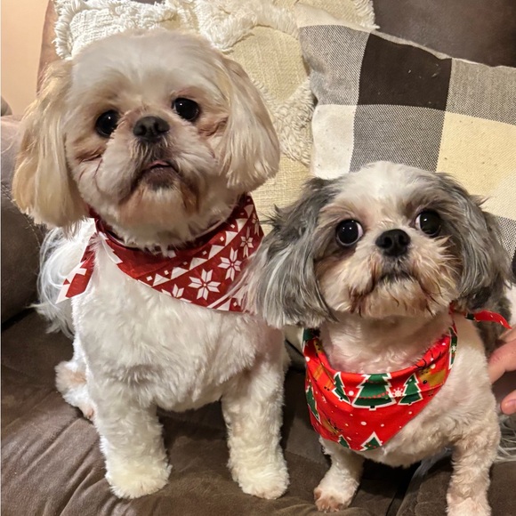 Meet your Posher, Jamie - Picture 9 of 9